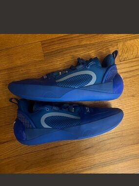 Men's Blue Performance basketball Shoes